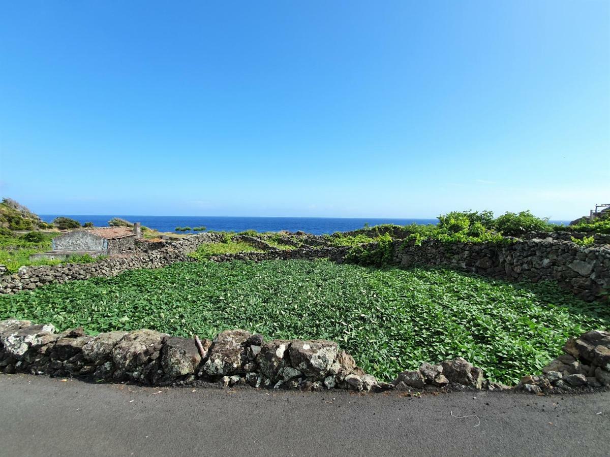הוילה Calheta de Nesquim Casinha De Nesquim מראה חיצוני תמונה